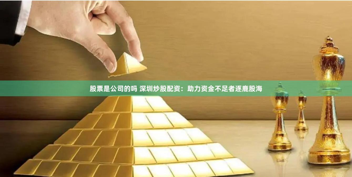 股票是公司的嗎 深圳炒股配資：助力資金不足者逐鹿股海