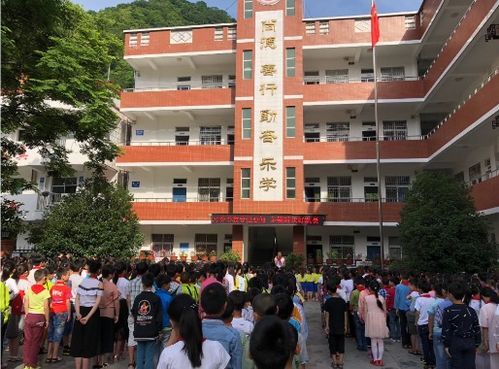 習爺爺囑托記心間 爭做新時代好隊員